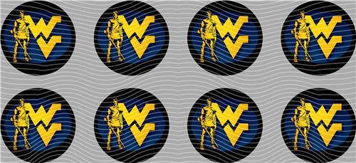 16oz Latest Bestseller-C 3980